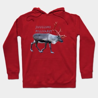 Juullimi Pilluarit Hoodie